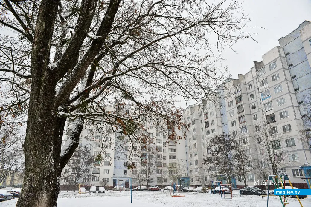14.11.2018. Первый снегопад сезона 2018-2019 года