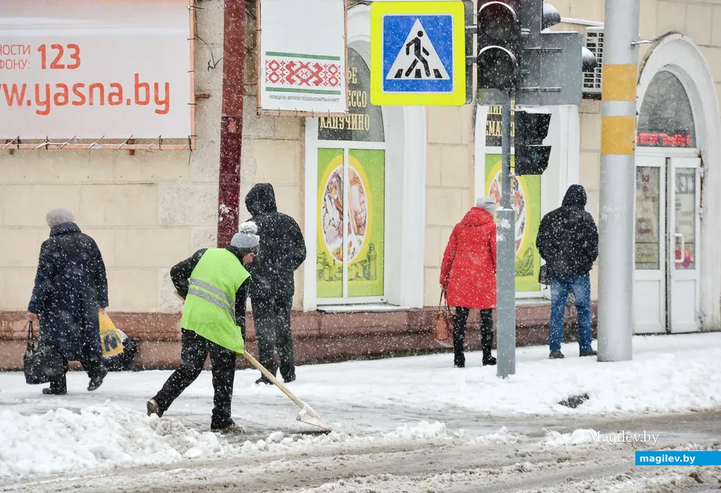 14.11.2018. Первый снегопад сезона 2018-2019 года