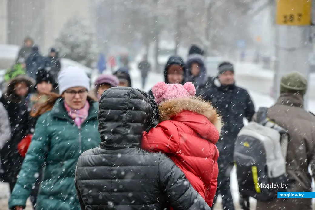 14.11.2018. Первый снегопад сезона 2018-2019 года