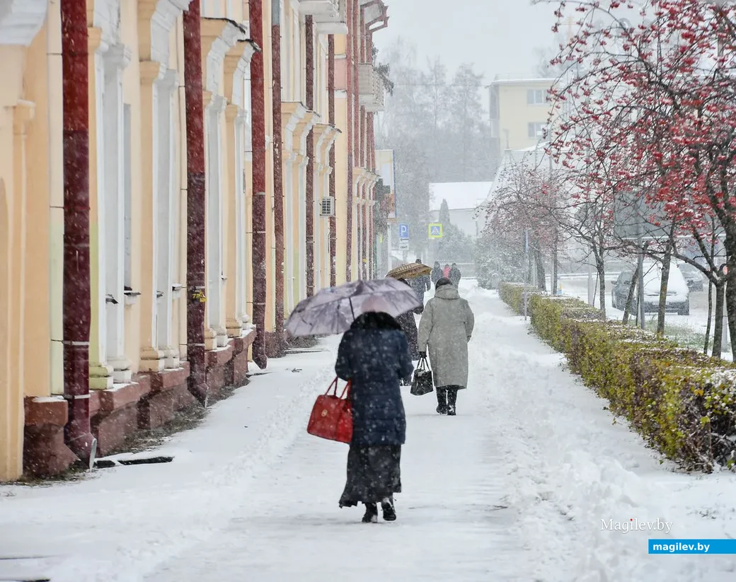 14.11.2018. Первый снегопад сезона 2018-2019 года