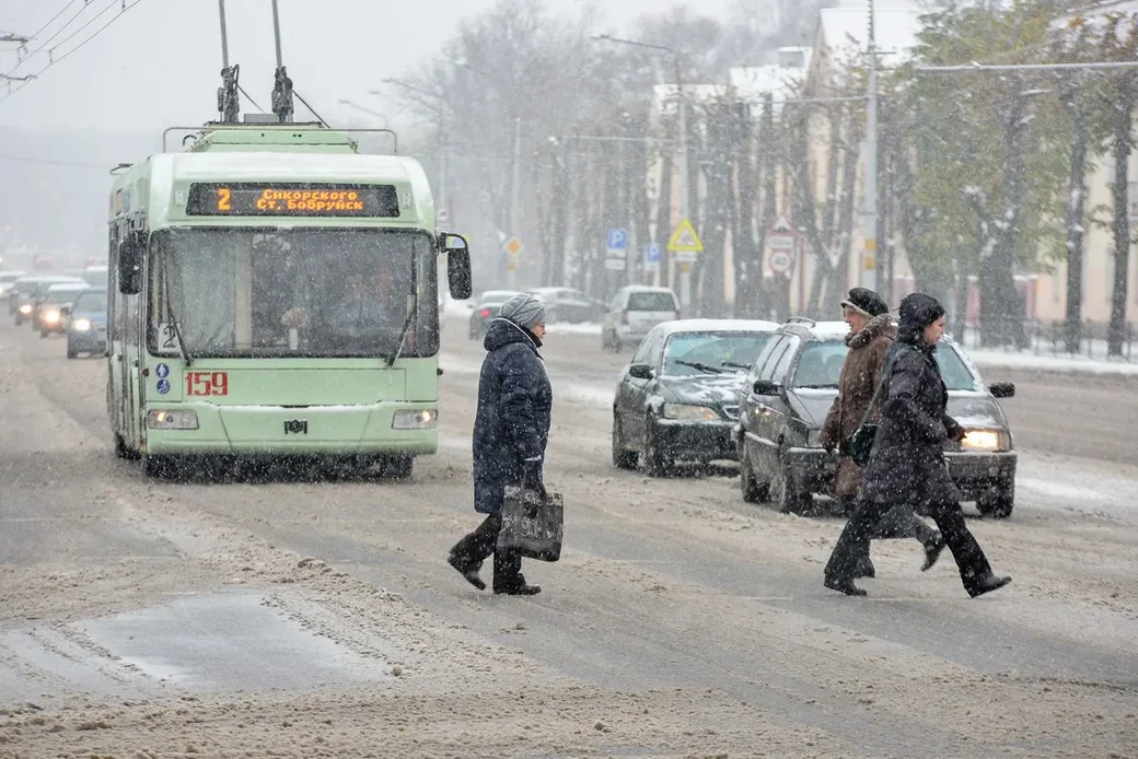 14.11.2018. Первый снегопад сезона 2018-2019 года
