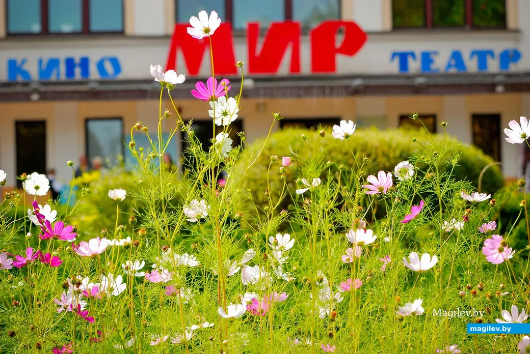 07.09.2019. Велофестиваль «Velo Boom» в городском парке