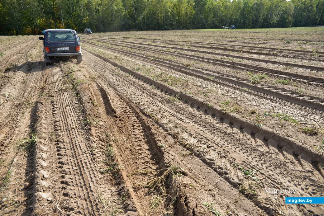 23.09.2019. Фермерское хозяйство «Гайшун» в деревне Осово Бобруйского района