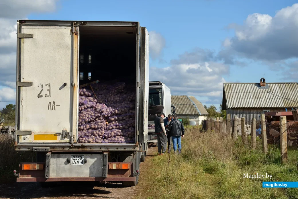 23.09.2019. Фермерское хозяйство «Гайшун» в деревне Осово Бобруйского района