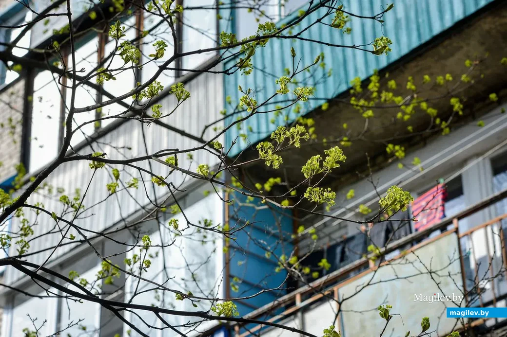 18.04.2019. Район санатория имени В.И.Ленина