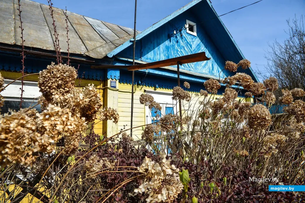 Дом на улице Социалистической