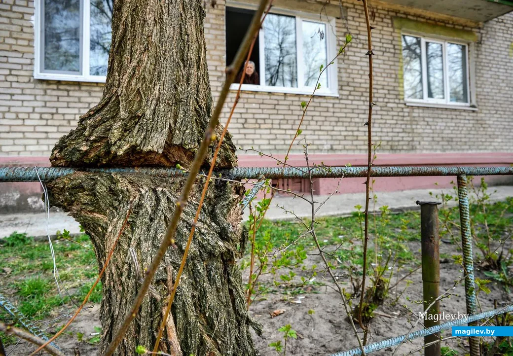 18.04.2019. Район санатория имени В.И.Ленина