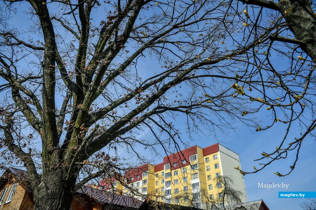 18.04.2019. Район санатория имени В.И.Ленина