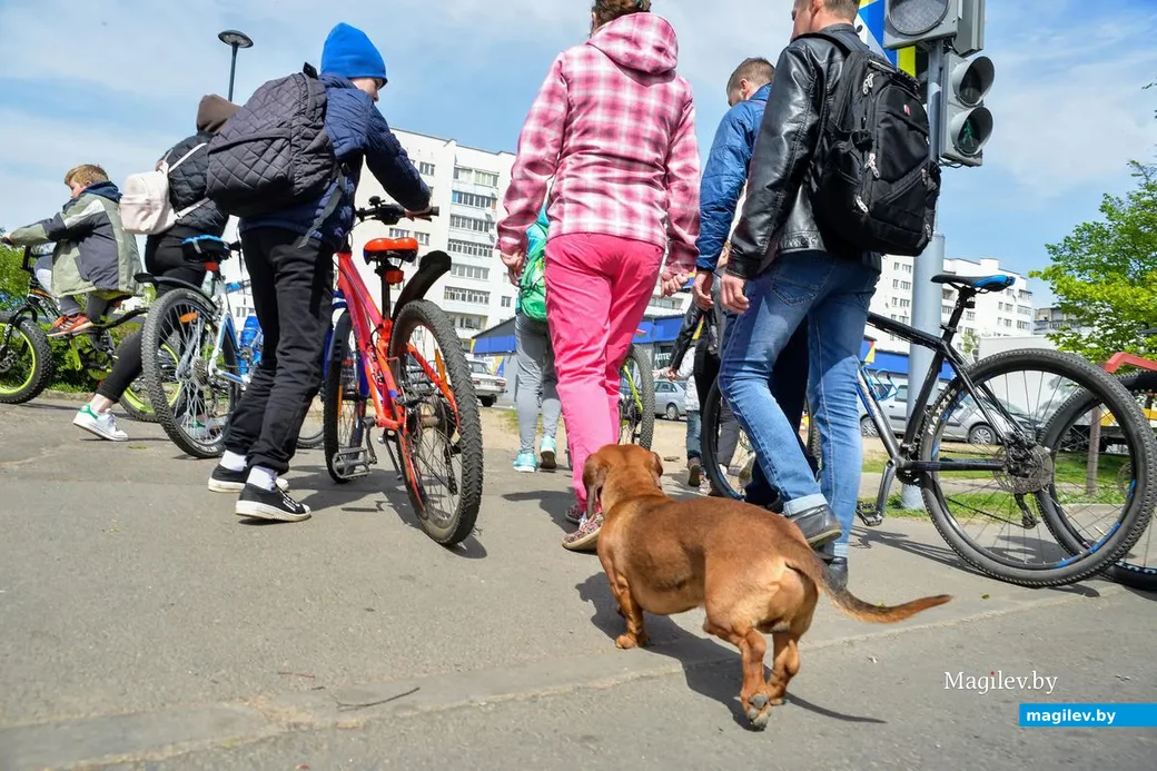 01.05.2019. День велосипедной солидарности трудящихся