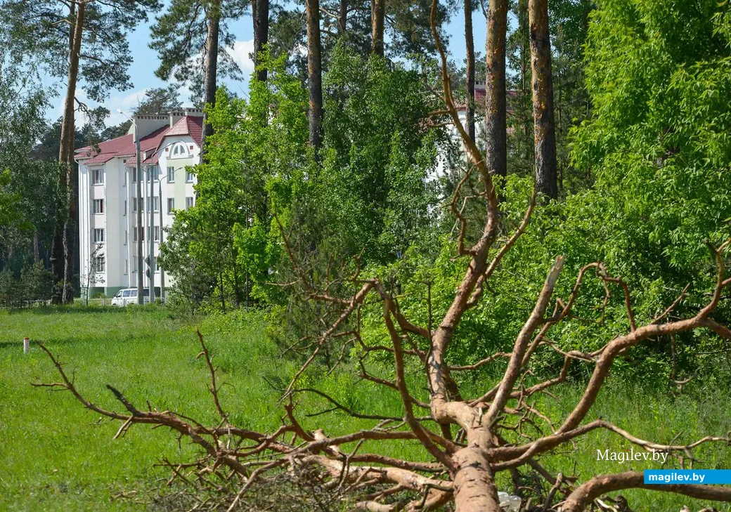 23.05.2019. Микрорайон Киселевичи