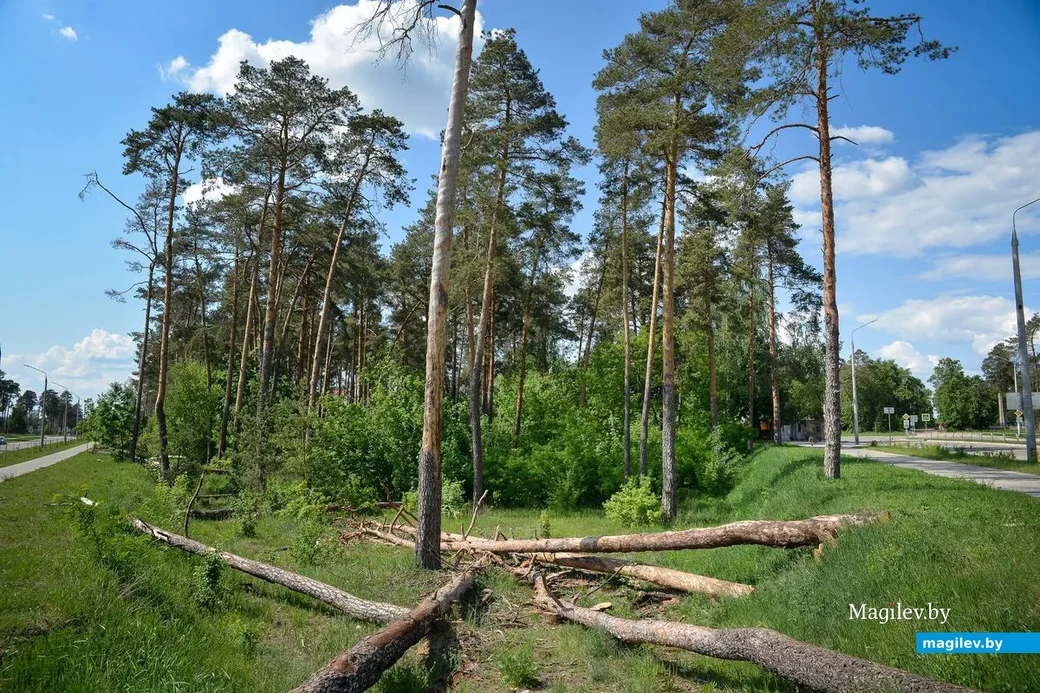 23.05.2019. Микрорайон Киселевичи