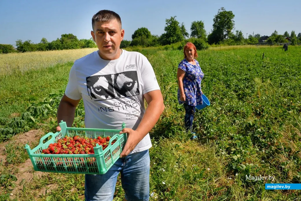 21.06.2019. «Клубничные принц и королева» Химов – Виталий и Светлана Кричко.