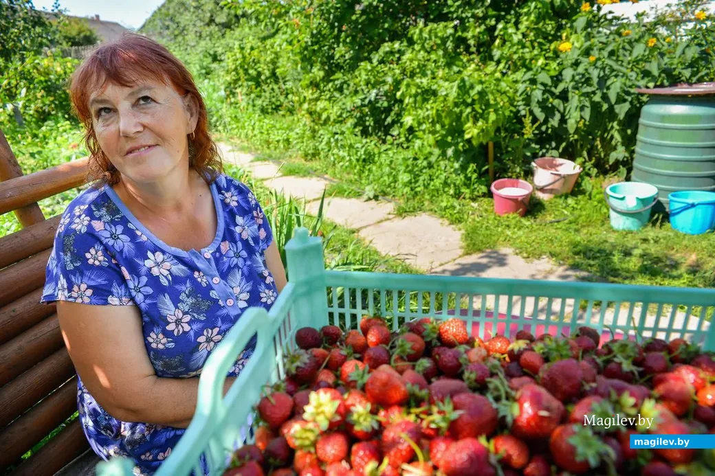21.06.2019. Светлана Кричко из деревни Химы Бобруйского района выращивает на своем участке