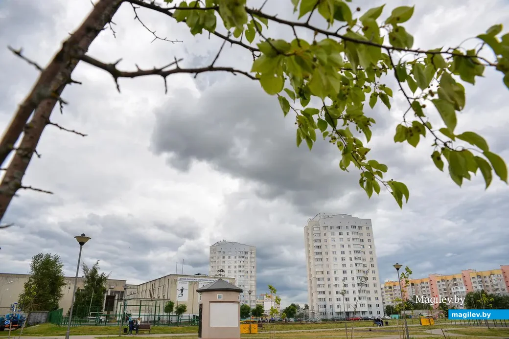 28.06.2019. Культурно-спортивный праздник «Лето Первомайское» в Молодежном парке