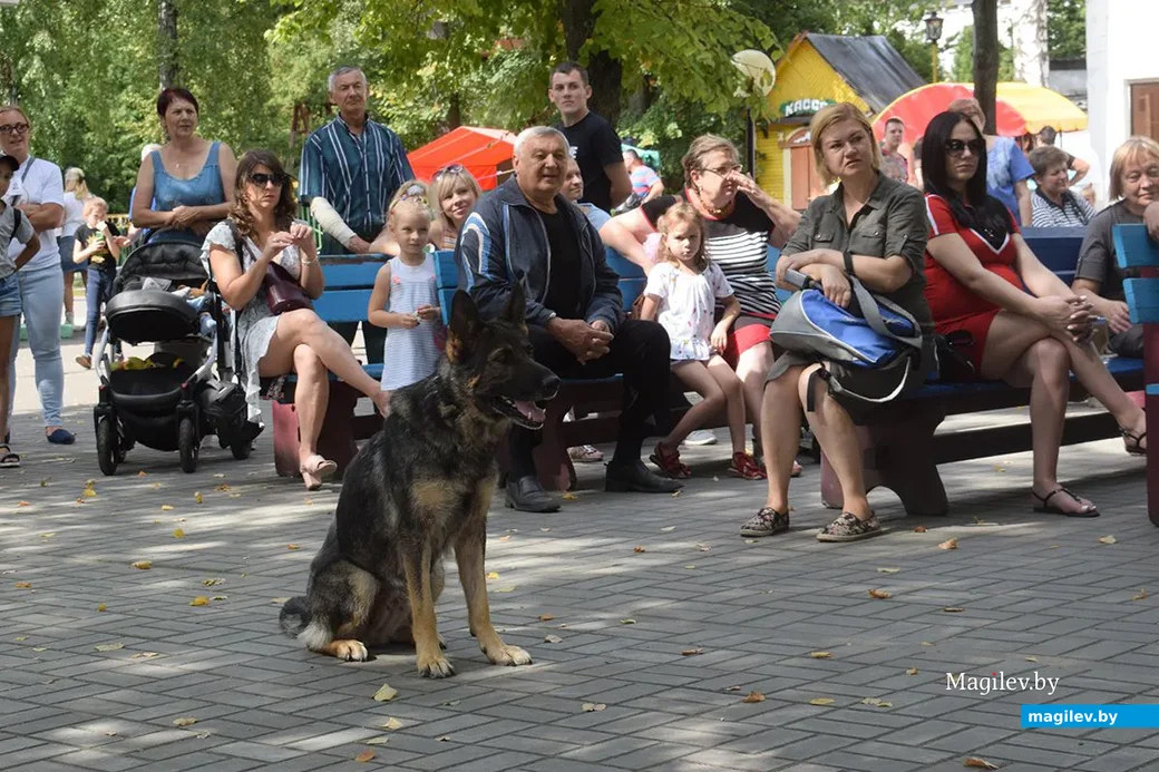 25.08.2019. Благотворительная акция «Бездомный – не значит чужой» в бобруйском городском парке.