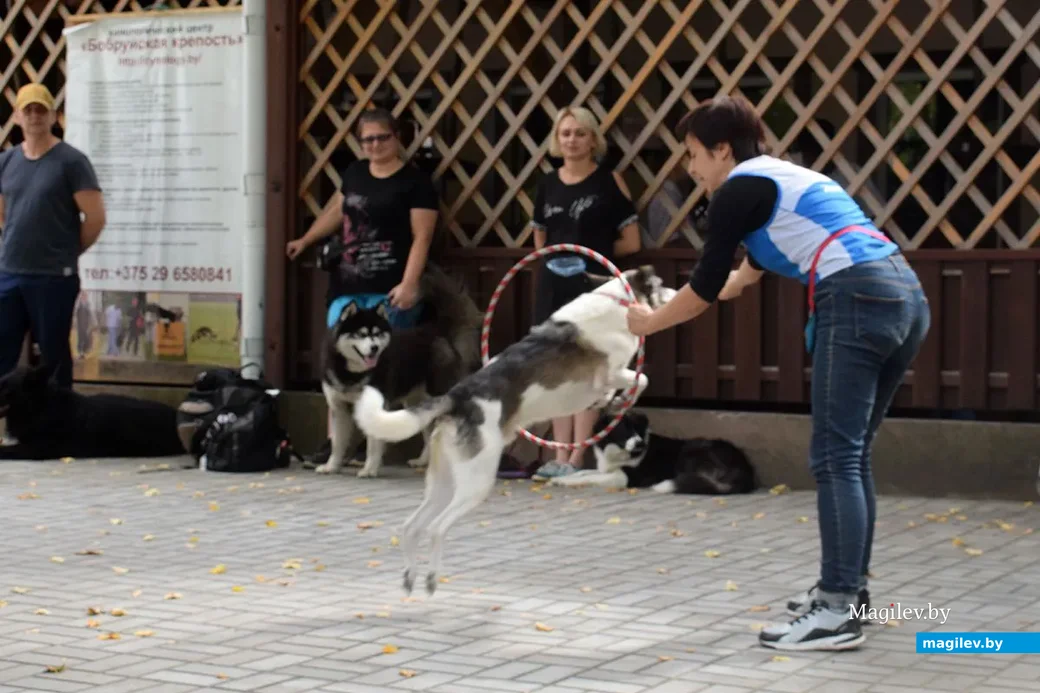 25.08.2019. Выступление кинологического центра «Бобруйская крепость». Благотворительная акция