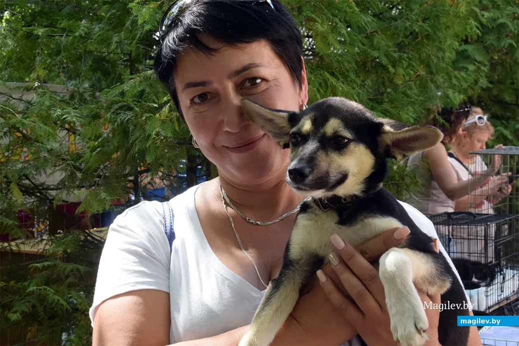 25.08.2019. Ирина Ковалерова, председатель общества защиты животных «Добродетель».
