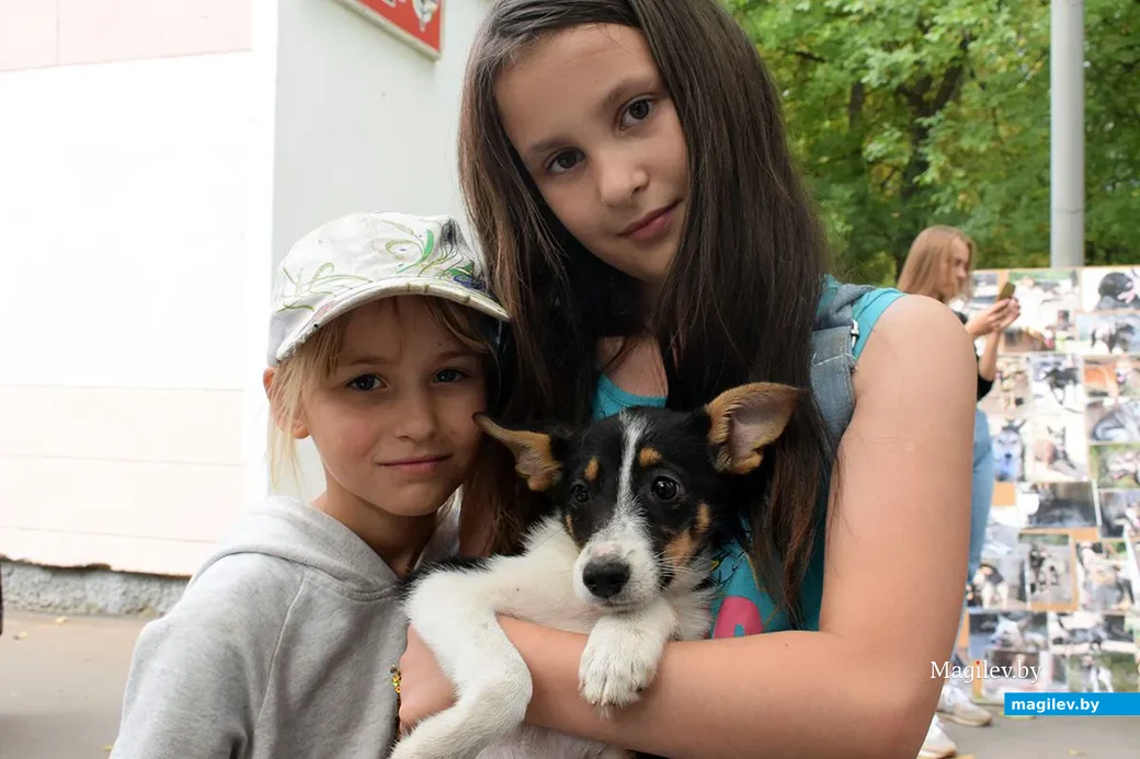 25.08.2019. Уже не бездомный. Благотворительная акция «Бездомный – не значит чужой» в бобруйском