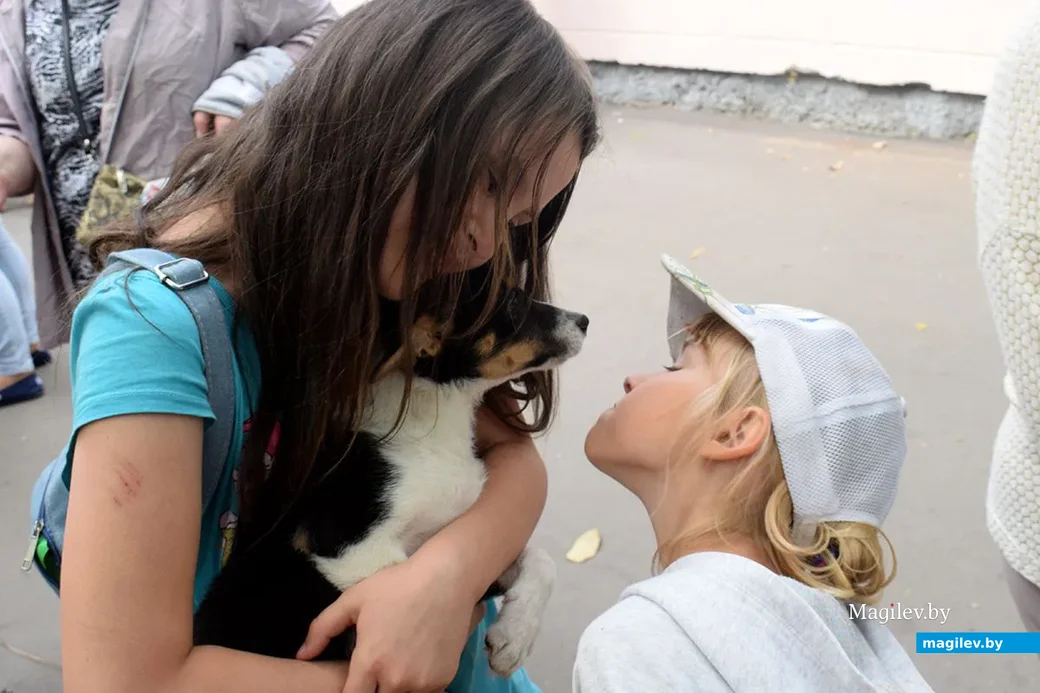 25.08.2019. Взяли себе братика. Благотворительная акция «Бездомный – не значит чужой» в