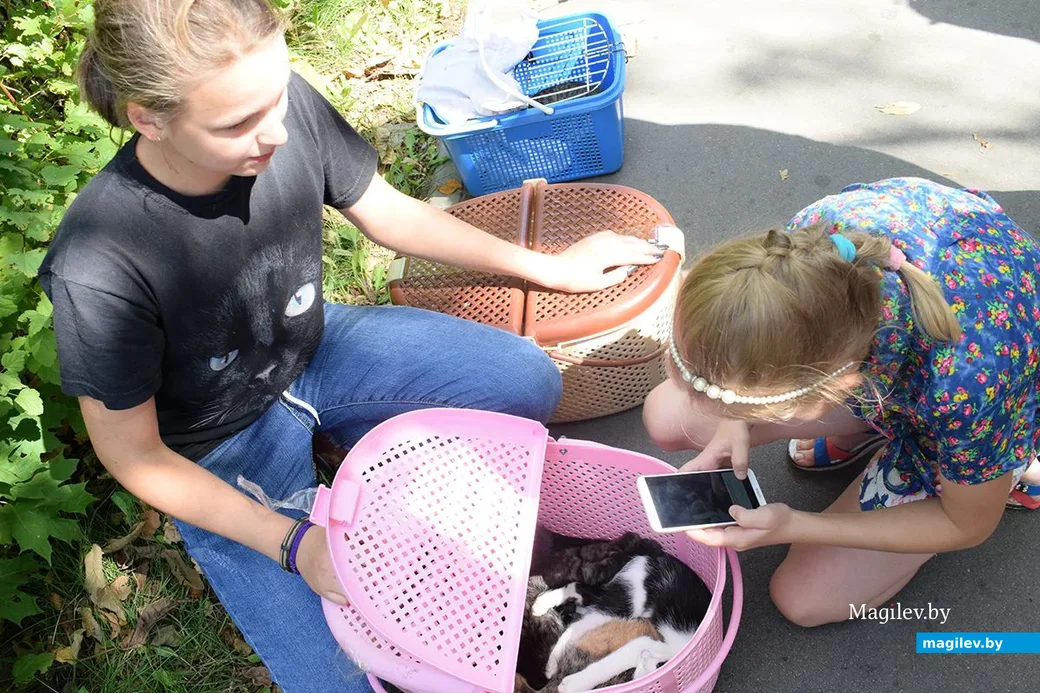 25.08.2019. Благотворительная акция «Бездомный – не значит чужой» в бобруйском городском парке.