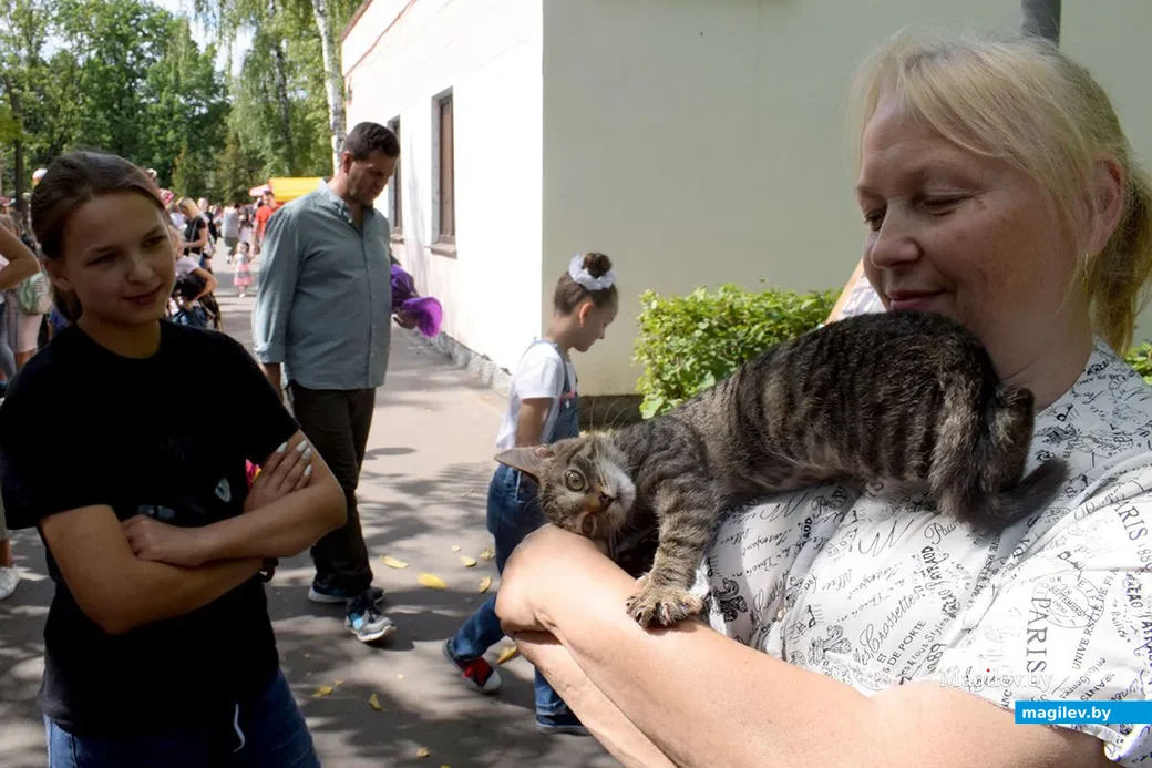 25.08.2019. Благотворительная акция «Бездомный – не значит чужой» в бобруйском городском парке.