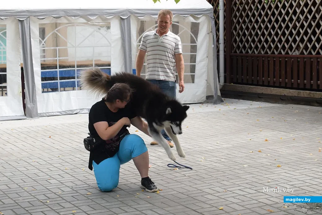 25.08.2019. Выступление кинологического центра «Бобруйская крепость». Благотворительная акция
