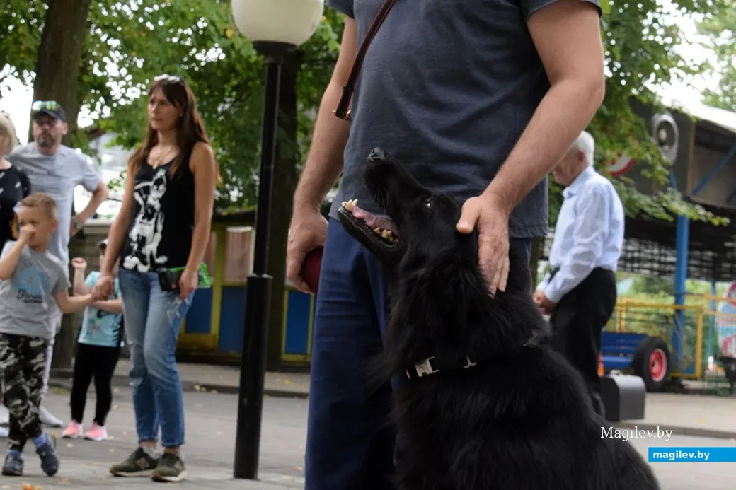 25.08.2019. Выступление кинологического центра «Бобруйская крепость». Благотворительная акция