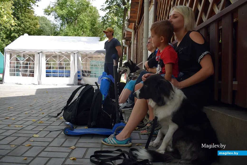 25.08.2019. Благотворительная акция «Бездомный – не значит чужой» в бобруйском городском парке.