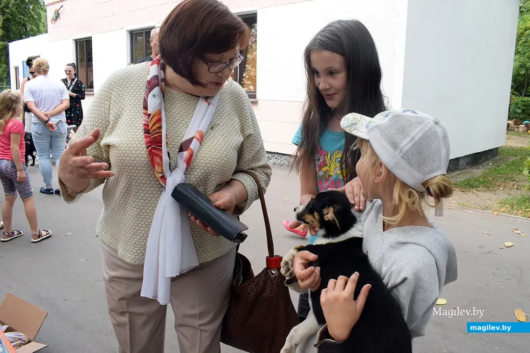 25.08.2019. Пёсик нашёл себе семью. Благотворительная акция «Бездомный – не значит чужой» в