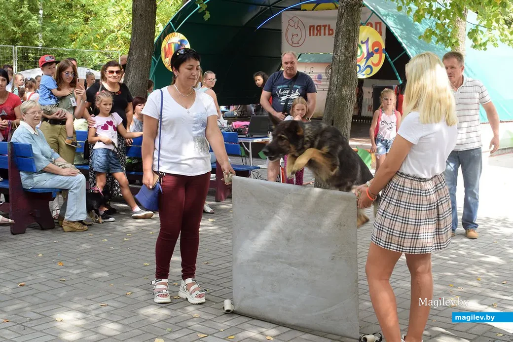 25.08.2019. Выступление кинологического центра «Бобруйская крепость». Благотворительная акция