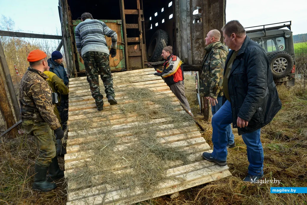 10.12.2019. Егерь Бобруйской районной организационной структуры РГОО «Белорусское общество