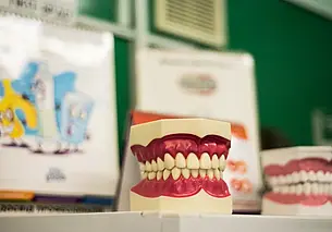 Сода может осветлить эмаль? Стоматолог – о самых популярных мифах про уход за зубами