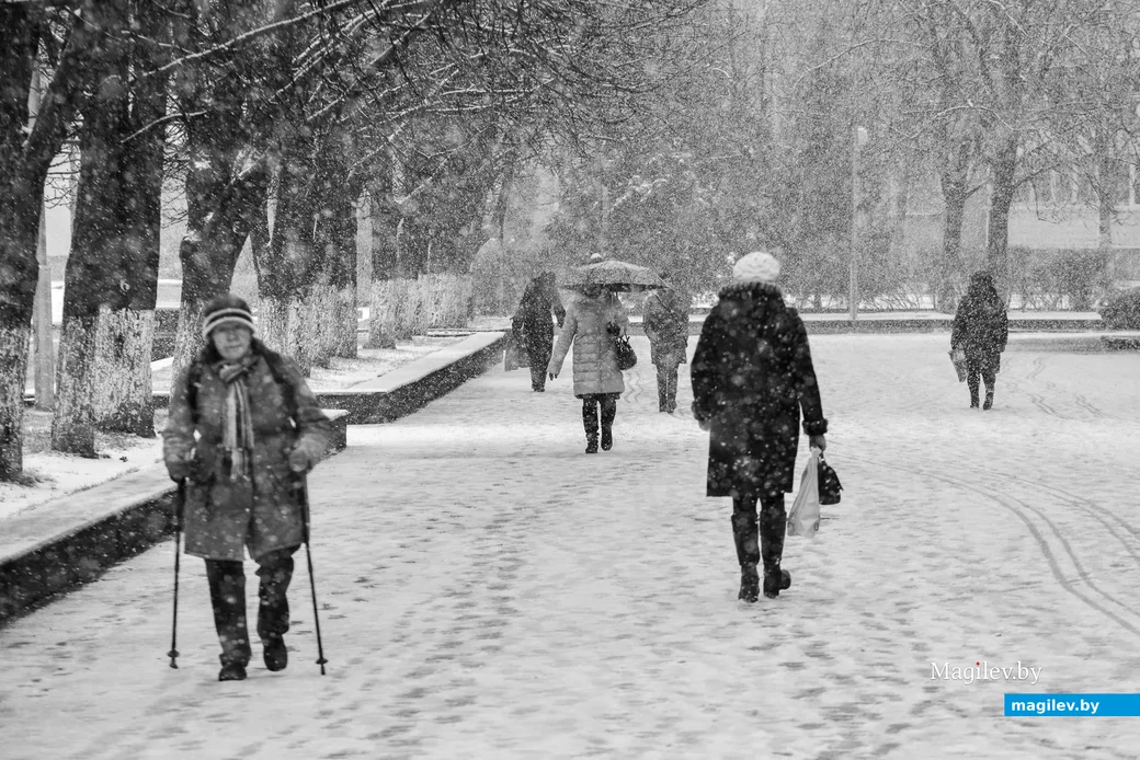 29.01.2020. Январский снегопад после бесснежной зимы