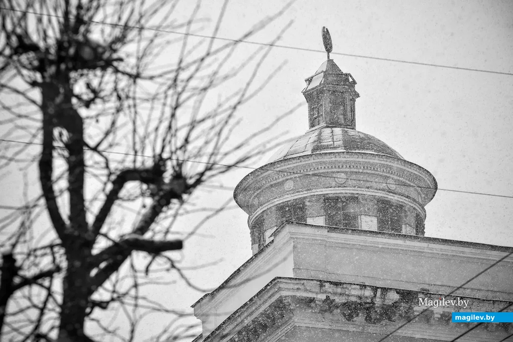 29.01.2020. Январский снегопад после бесснежной зимы