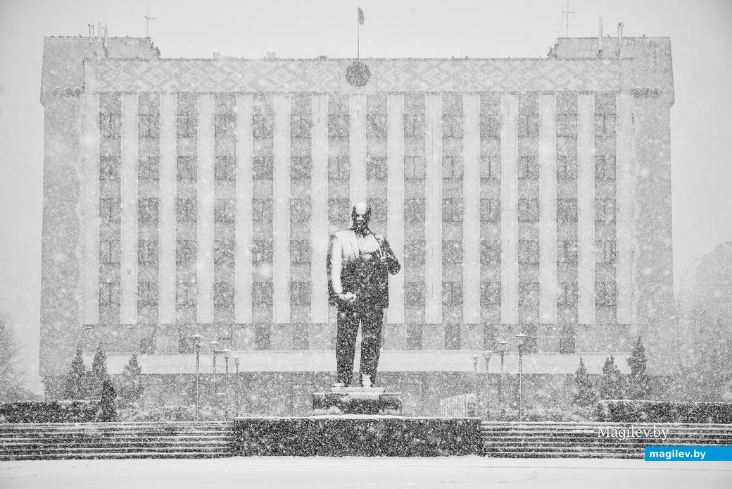 29.01.2020. Январский снегопад после бесснежной зимы