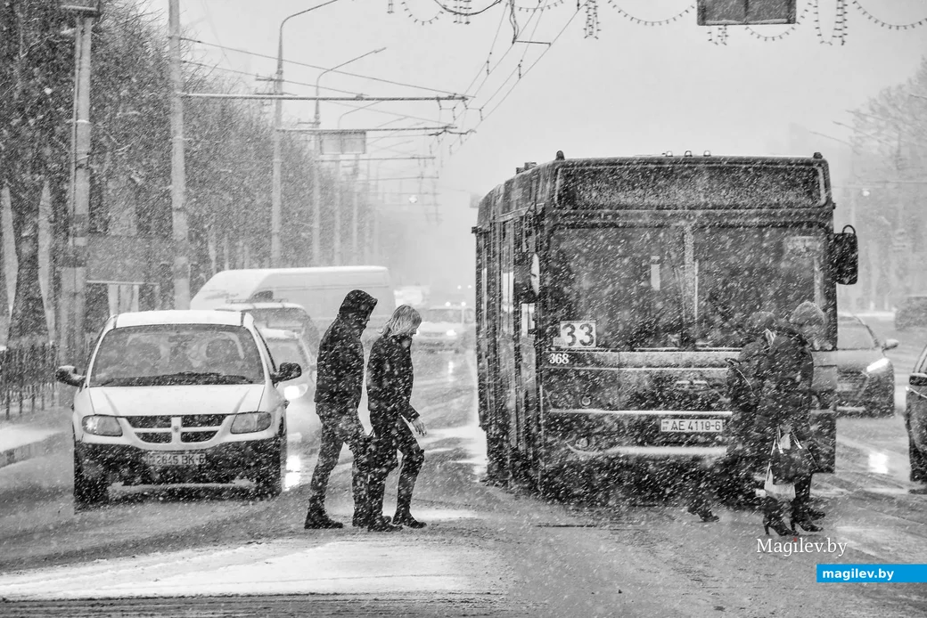 29.01.2020. Январский снегопад после бесснежной зимы