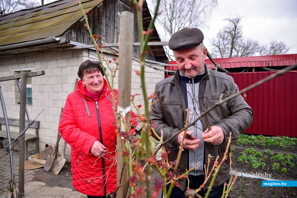 16.04.2020. Растениеводы Надежда и Сергей Старых с улицы Кирпичной.
