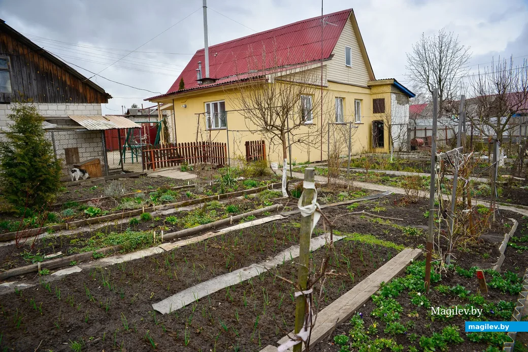 16.04.2020. Усадьба Надежды и Сергея Старых на улице Кирпичной.