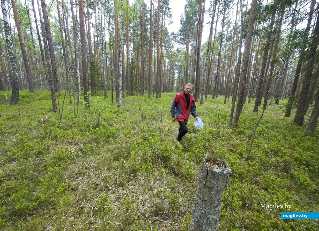 17.05.2020. Поиски деревни Белая