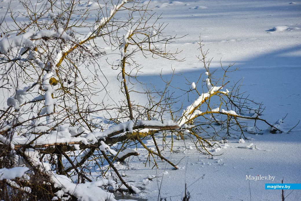 02.02.2021. Бобруйск. Правый берег Березины в окрестностях ФанДОКа