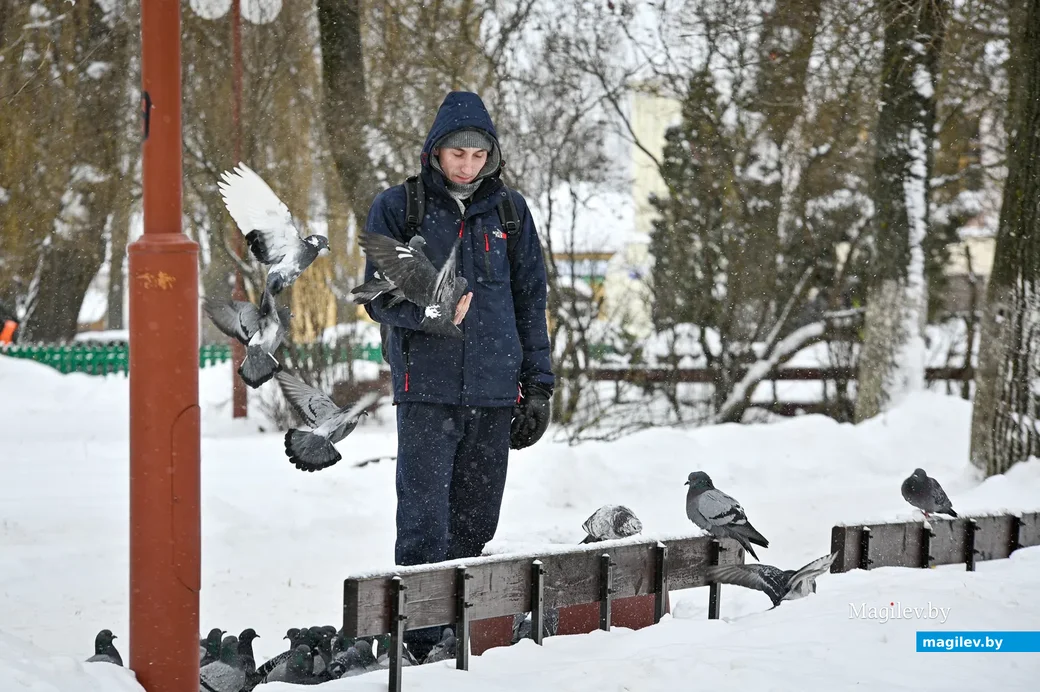 09.02.2021. Бобруйск. Зима оранжевого уровня