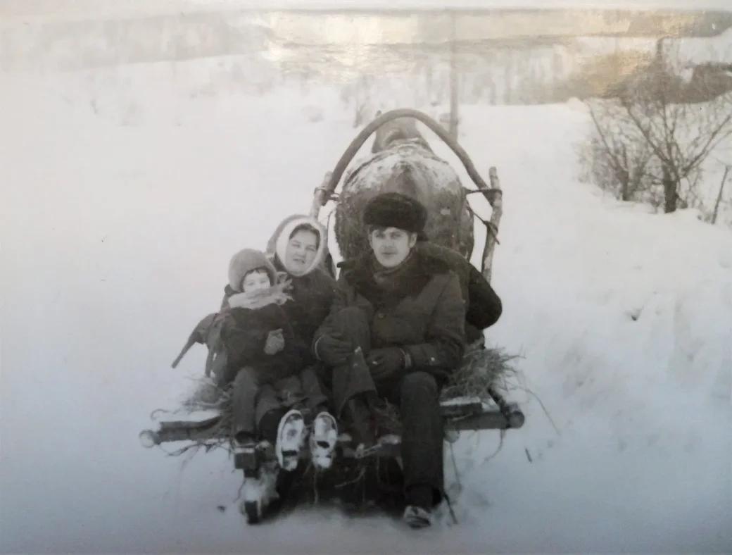 Сани зимой были основным транспортом.
