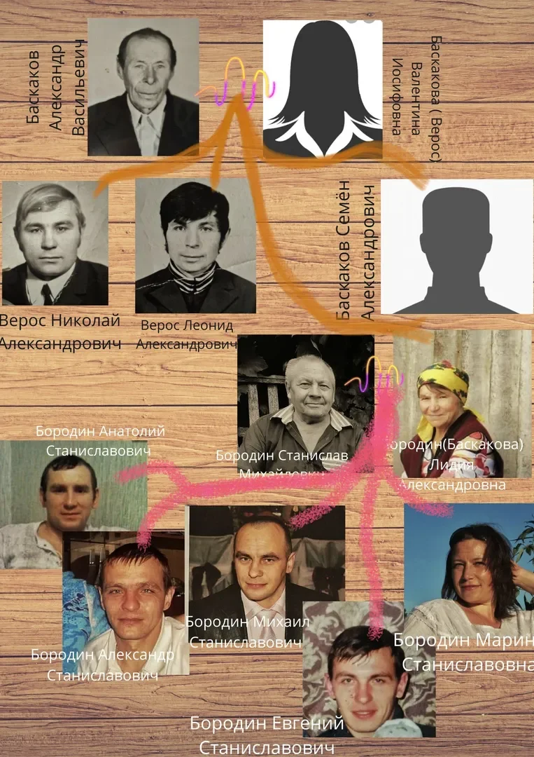 Большая семья Бородин-Баскаковых. Инфографика автора