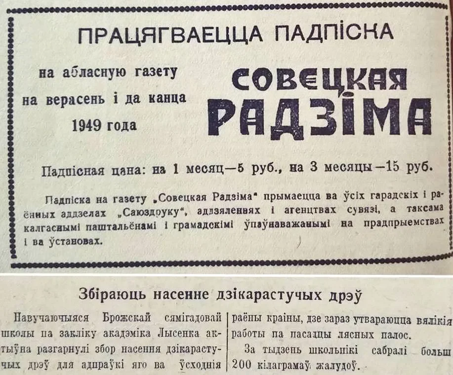 Публикации 1949 года в газете «Совецкая Радзіма».