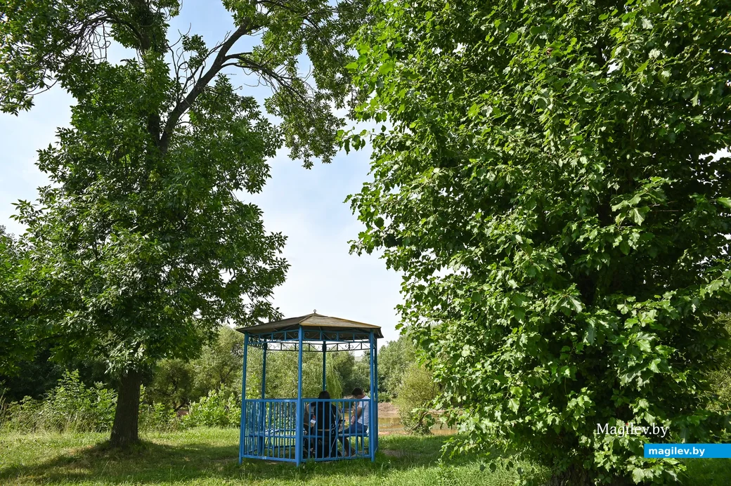 2020, Бобруйск. Городской парк культуры и отдыха. Фото: Александр ЧУГУЕВ