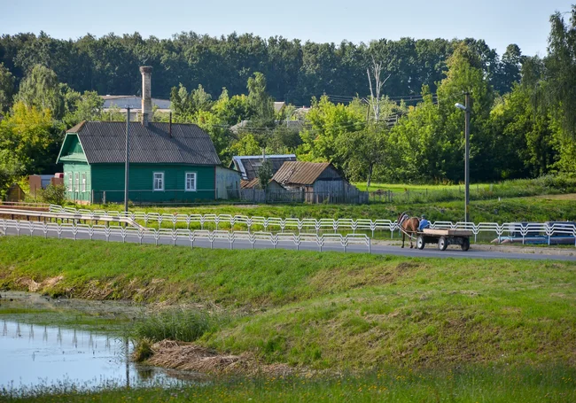 Сколько стоит узаконить самовольно занятую землю в Беларуси