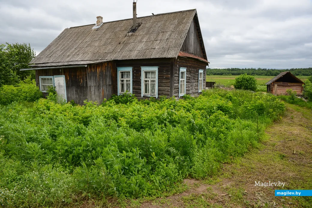 Глусский район, деревня Степановка.