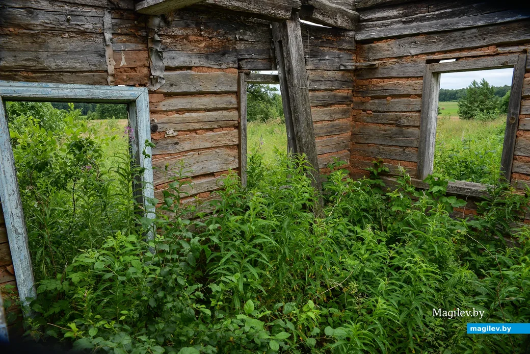Глусский район, деревня Степановка.