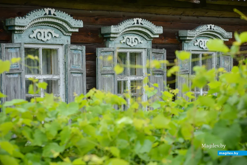 Глусский район, деревня Степановка.
