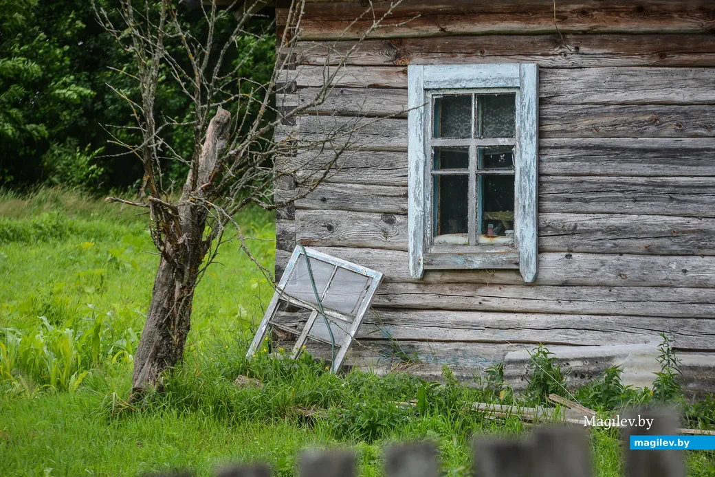 Глусский район, деревня Степановка.